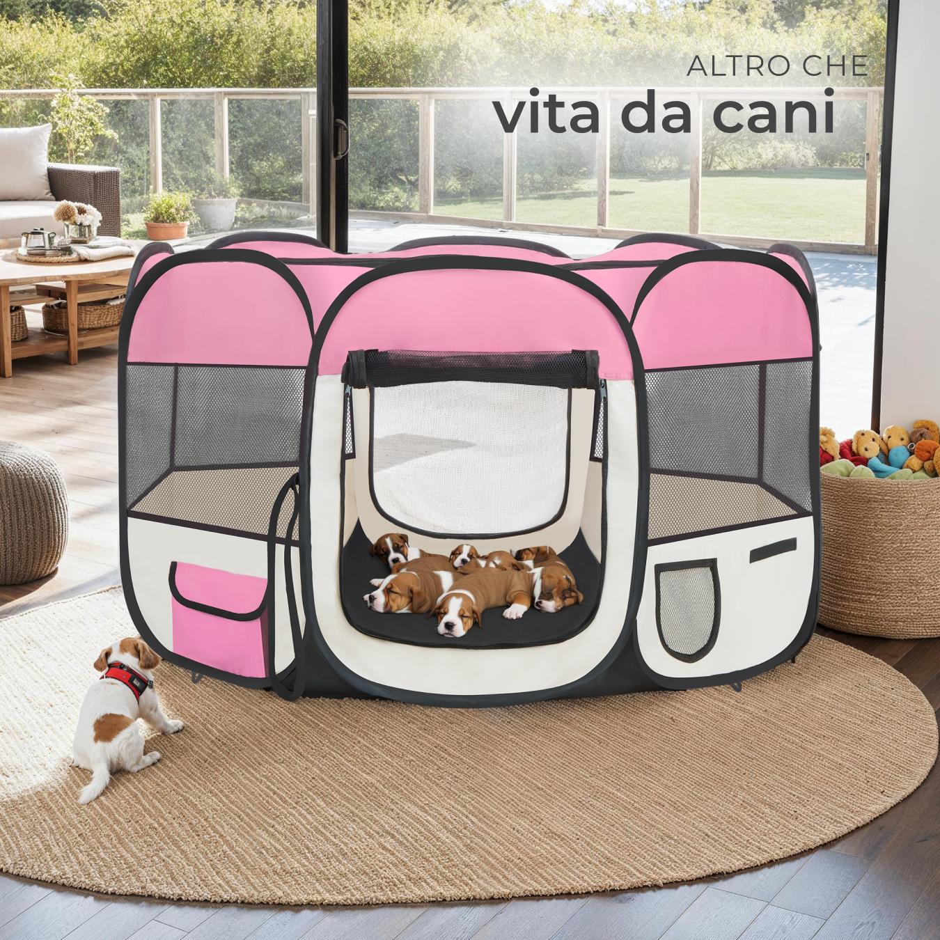 Tenda box per cagnolini cuccioli e piccoli animali cane gatto lepre portatile - Foto 8 di 39