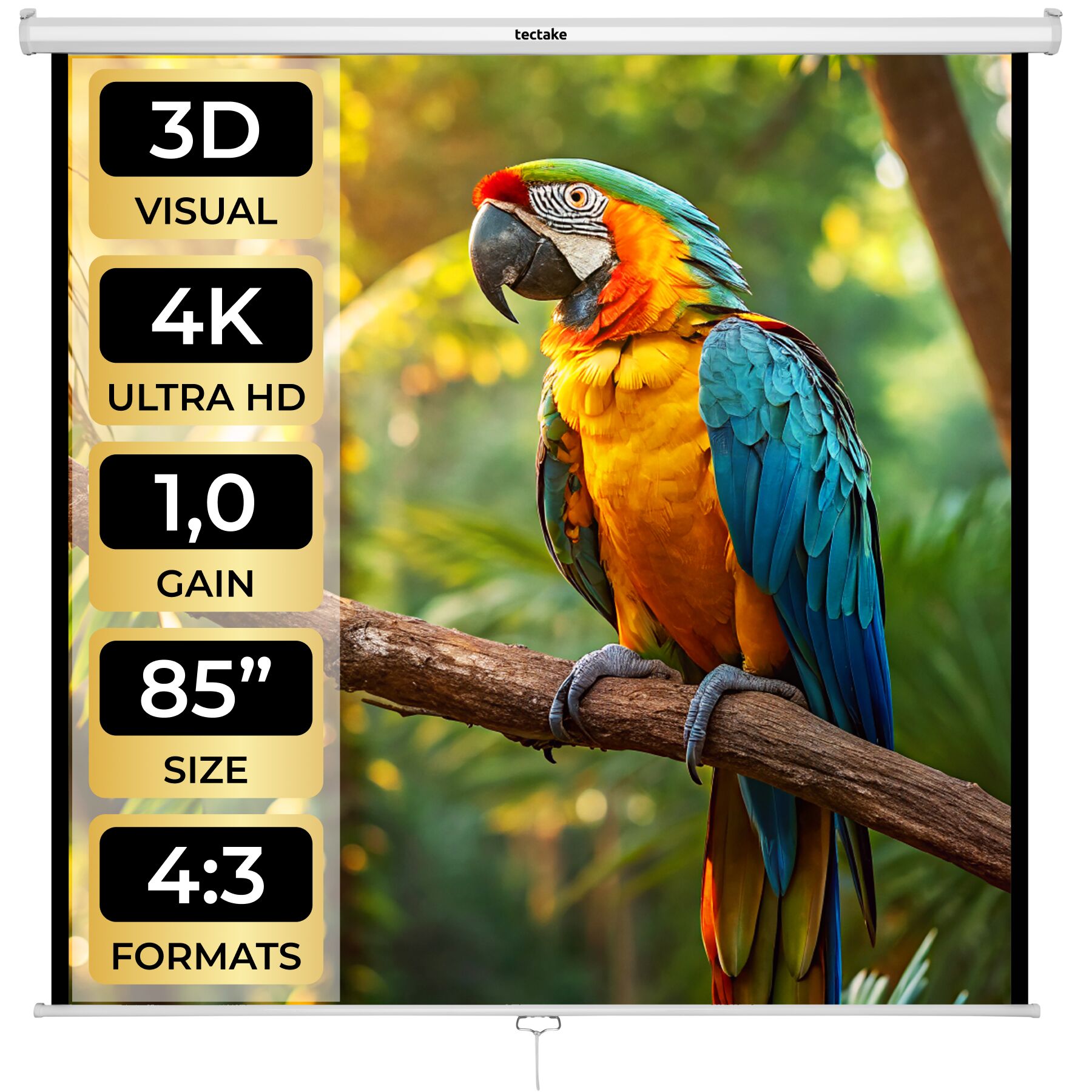 schermo per proiettori HDTV - 152 x 152 cm | tectake