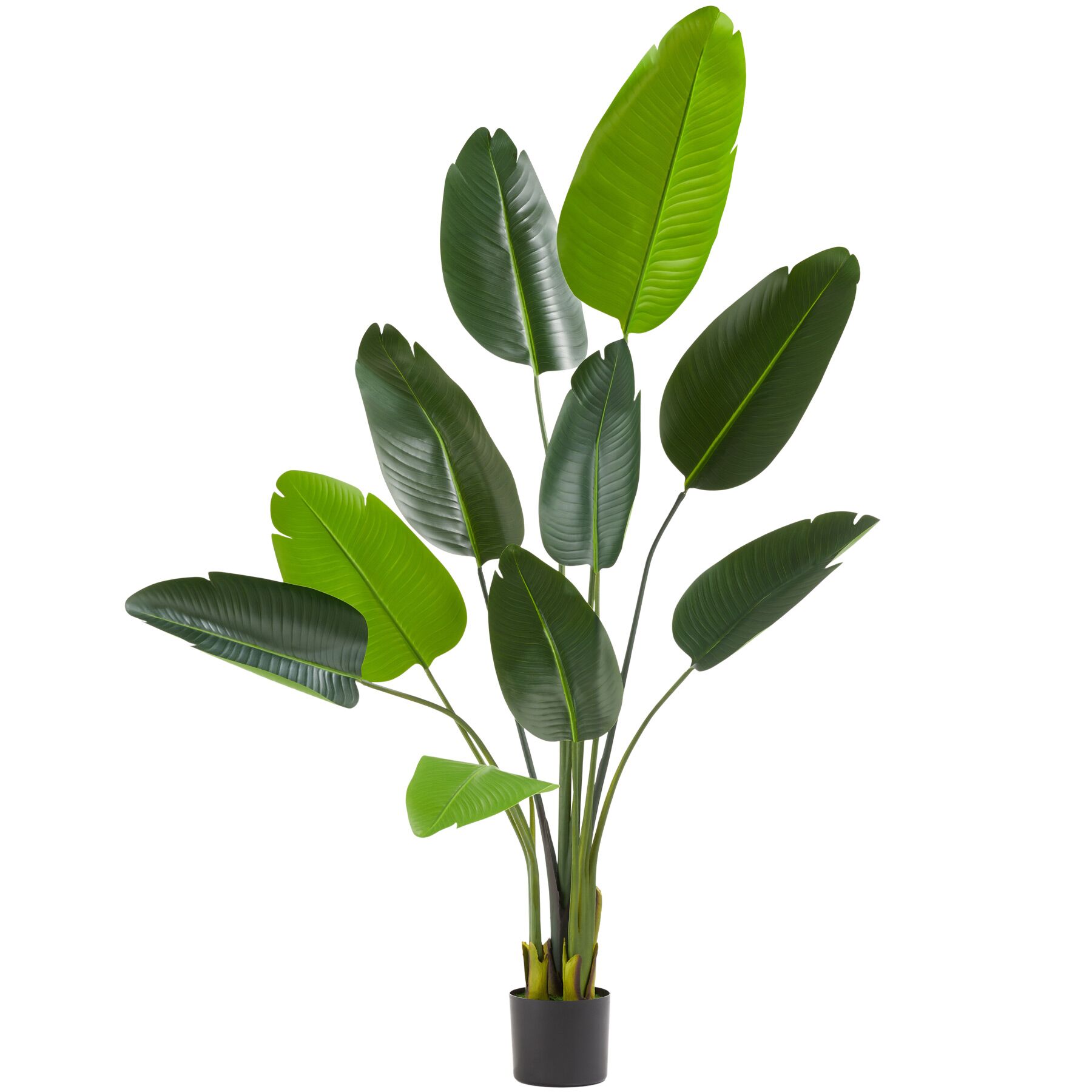 Tectake Gmbh Verde Pianta Artificiale Strelitzia Tropic, Realistica