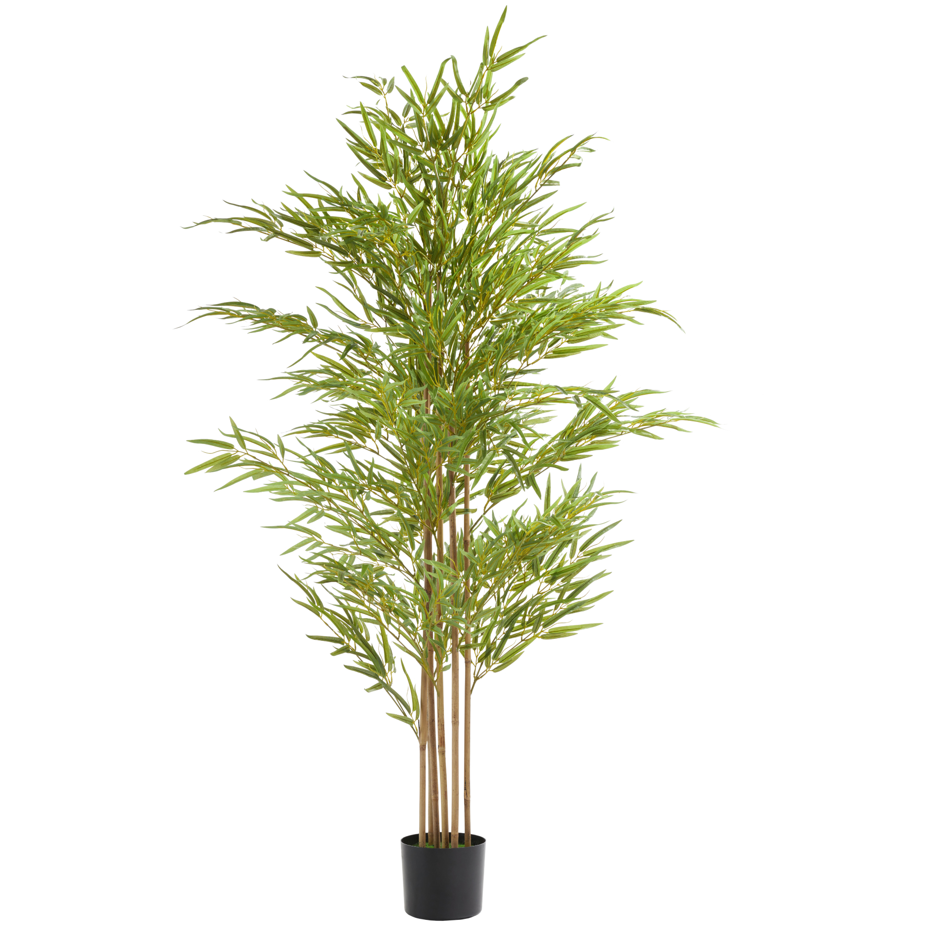 Artificial Plant - bamboo grass, realistic look, low-maintenance - 180 cm