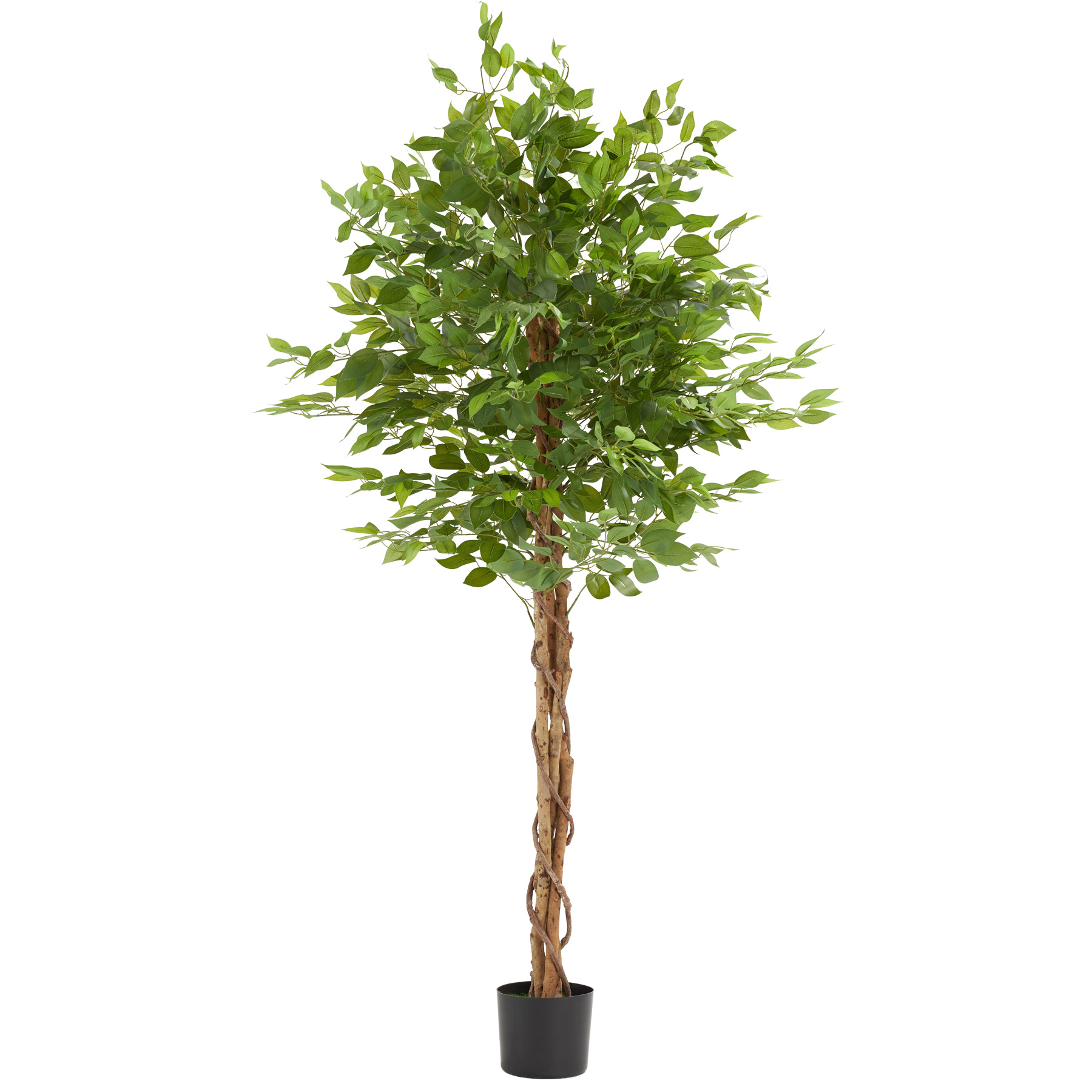 Tectake Gmbh Verde Albero Di Ficus Artificiale Fida, Texture Realistica