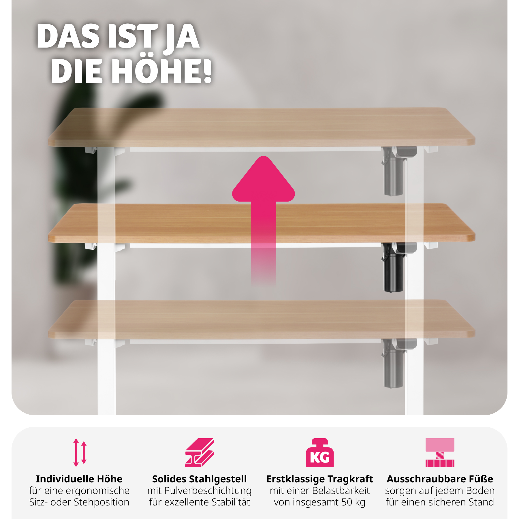 Höhenverstellbarer Schreibtisch Elektrisch Computertisch Arbeitsplatz PC-Tisch - Bild 16 von 37