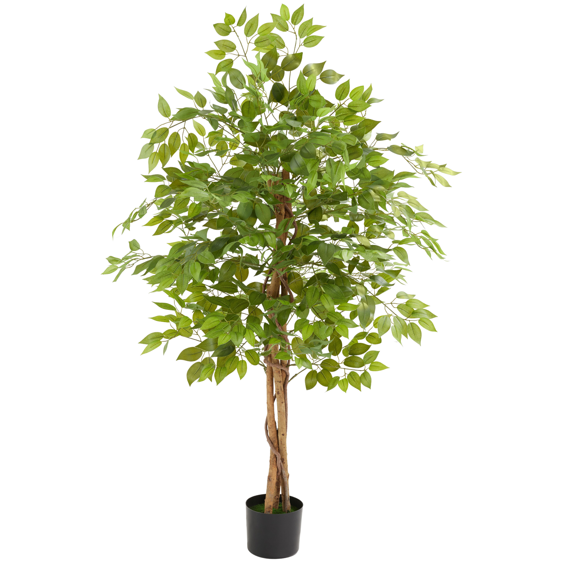 Artificial Plant - detailed and lifelike, ficus tree, low-maintenance - 160 cm