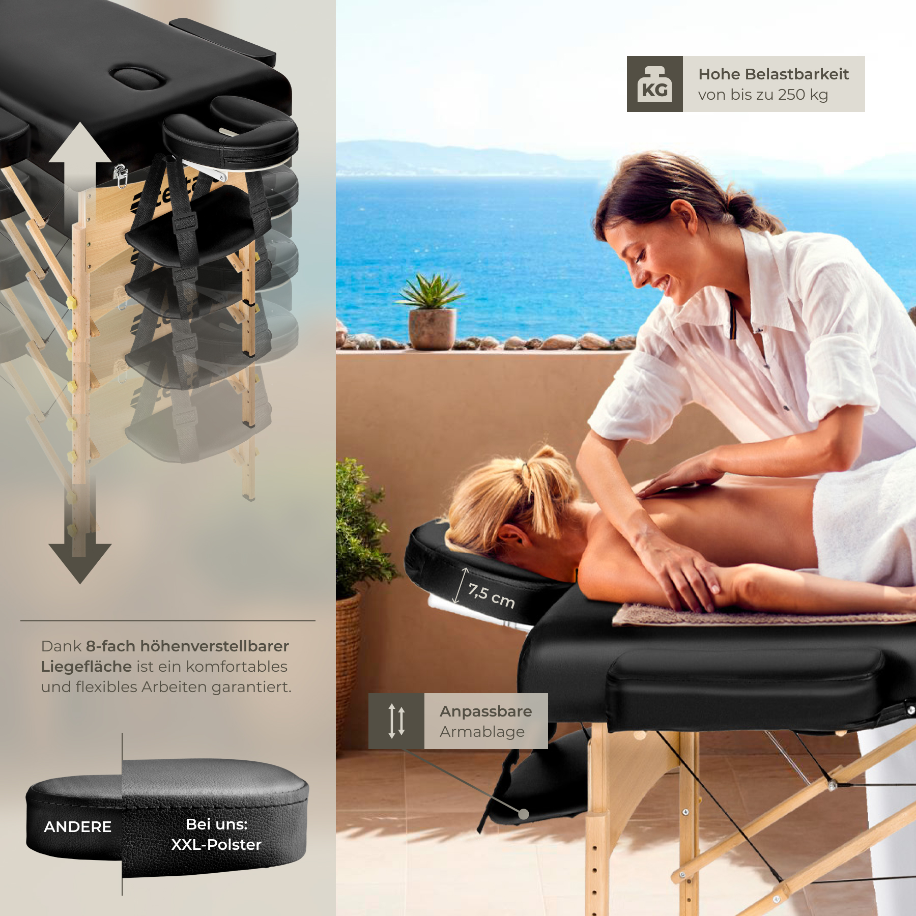 Massageliege Massagetisch Massagebank Holz Liege Mobil klappbar 3 Zonen Tasche
