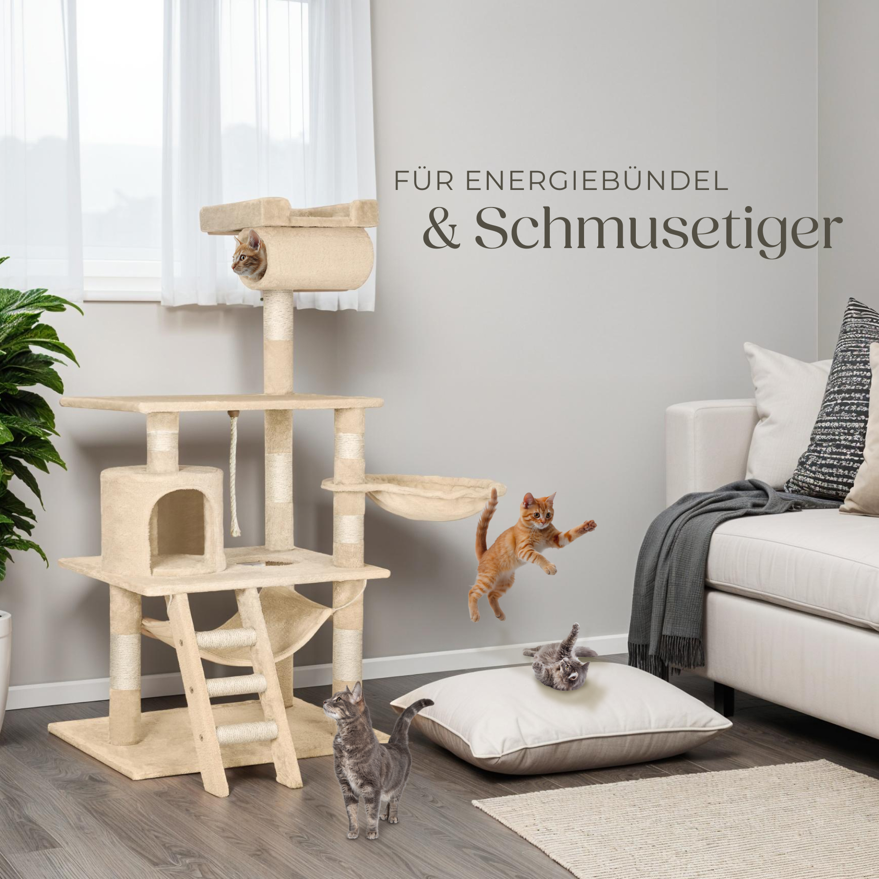 Bild 57 von 73