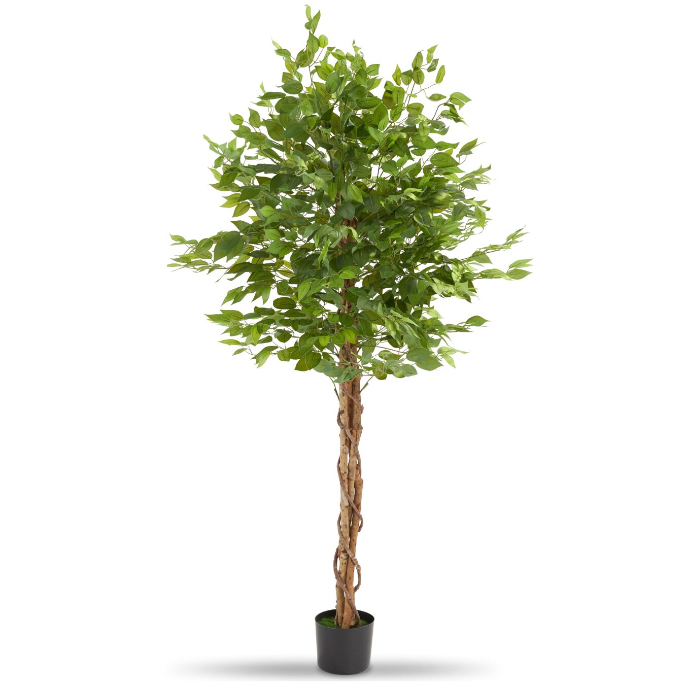 Künstlicher Ficusbaum Fida, realistische Textur - 180 cm