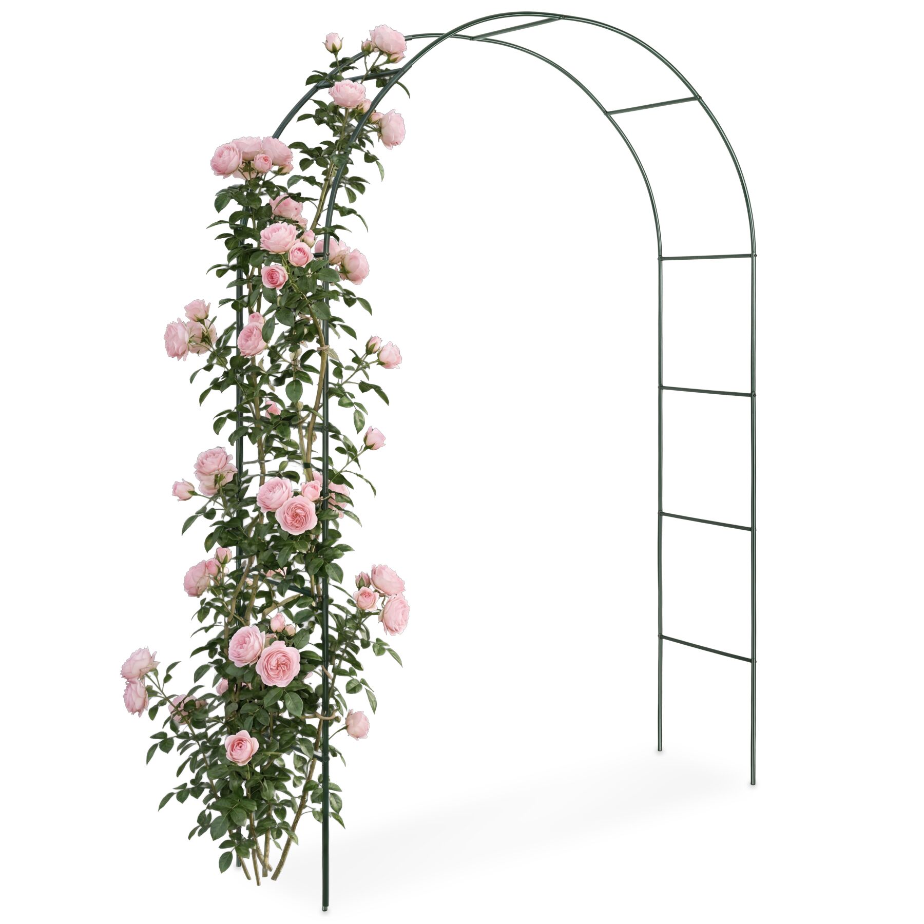 Rosenbogen 240 cm - grün