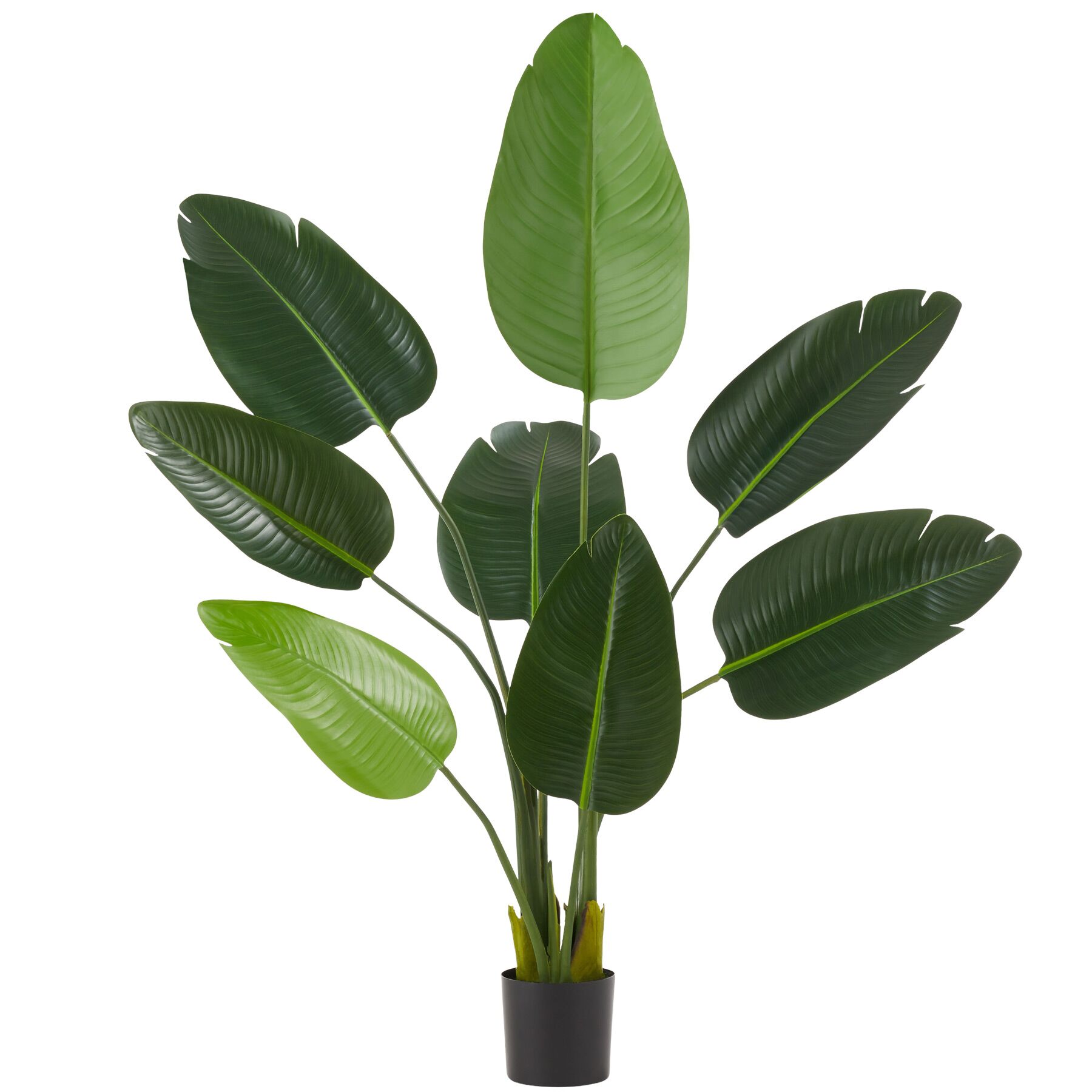 Tectake Gmbh Verde Pianta Artificiale Strelitzia Tropic, Realistica