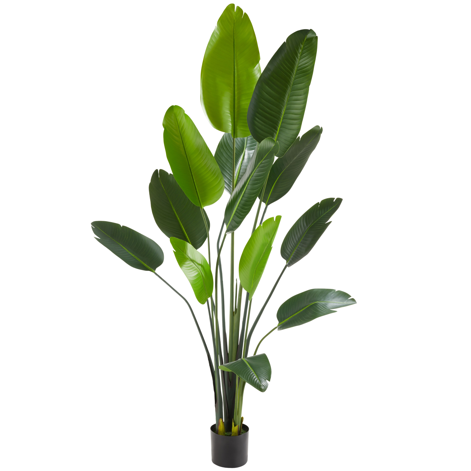 Artificial bird of paradise tree Tropic, lifelike - 180 cm