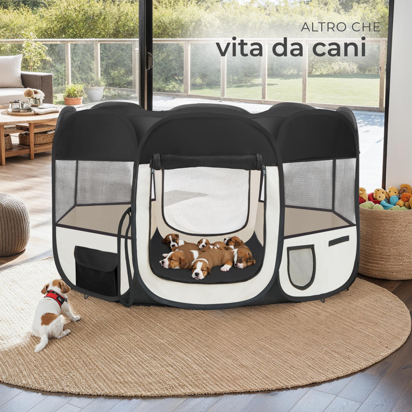 Tenda box per cagnolini cuccioli e piccoli animali cane gatto lepre portatile - Foto 20 di 39
