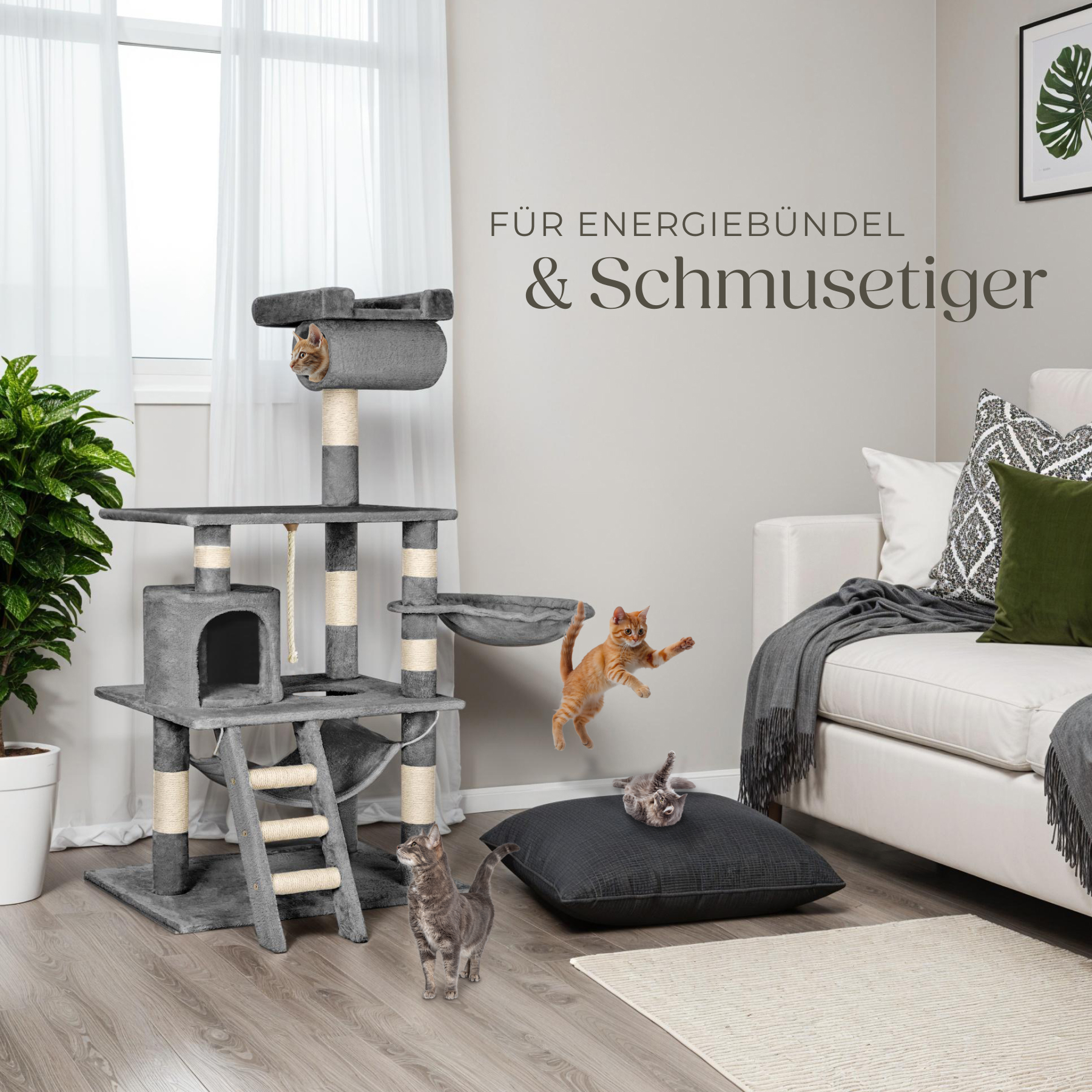 Bild 9 von 73