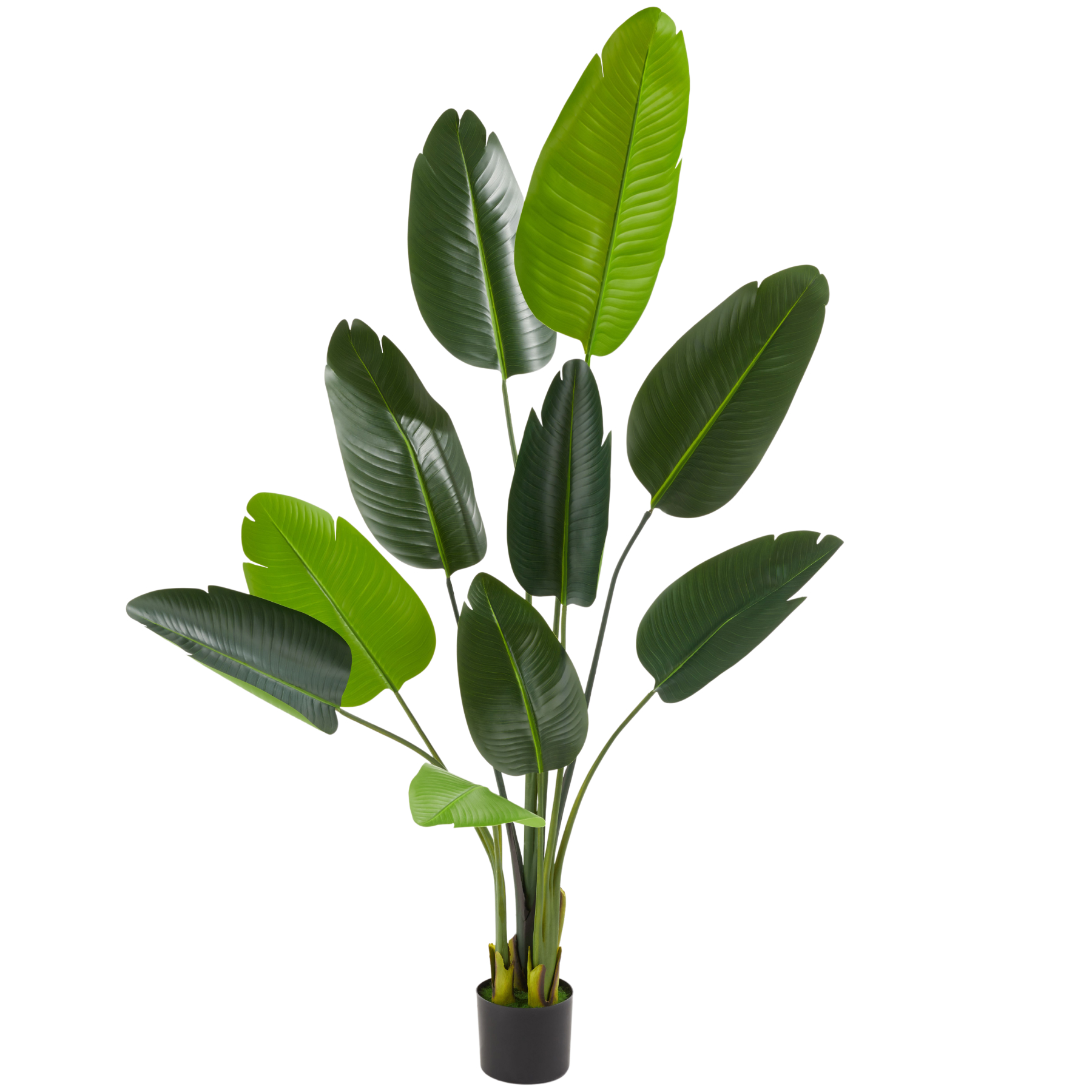 Artificial bird of paradise tree Tropic, lifelike - 160 cm