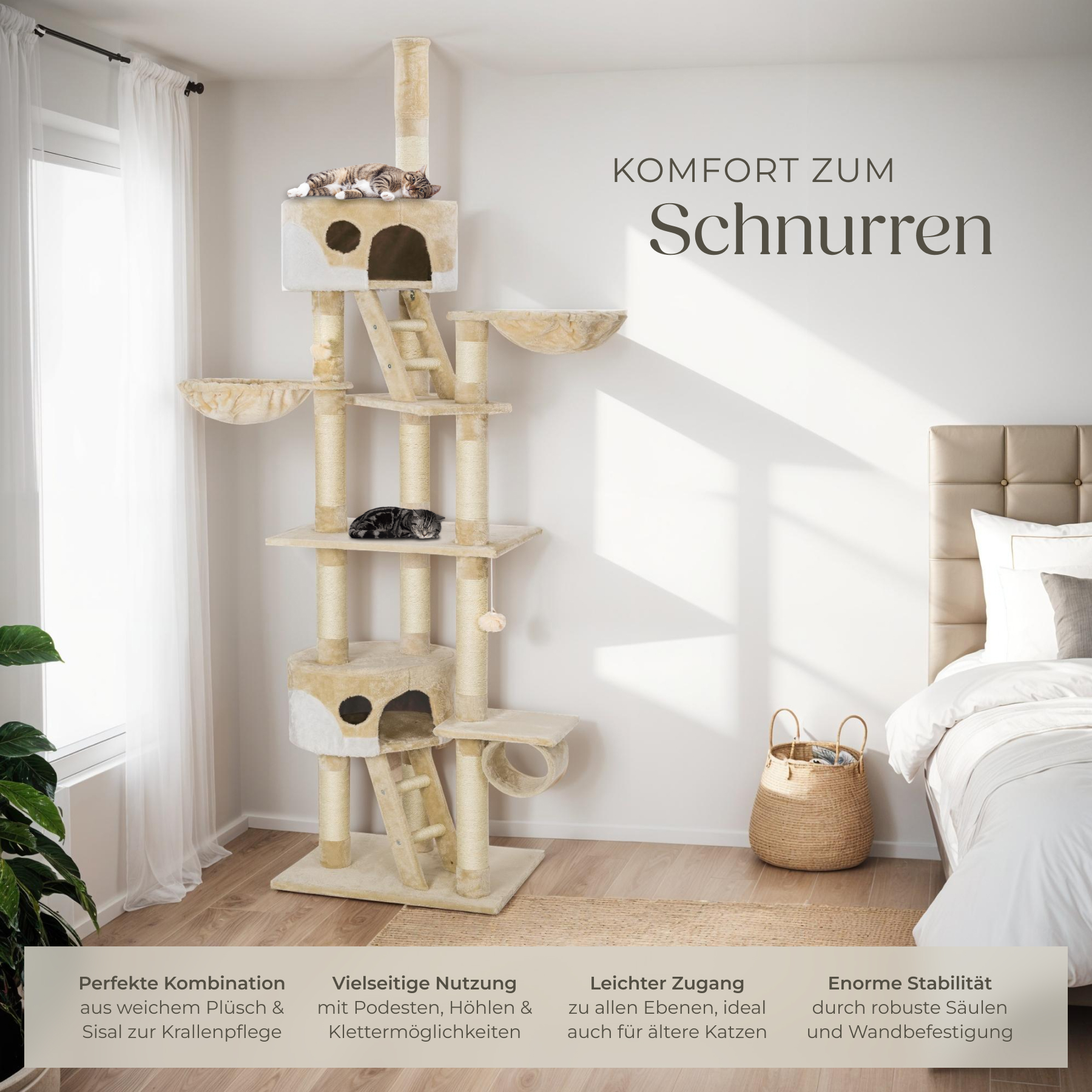 Bild 16 von 49