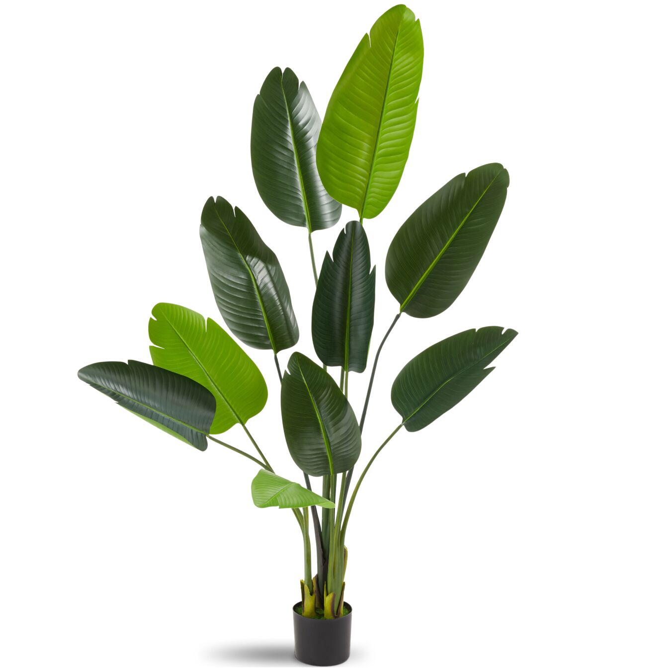 Künstlicher Paradiesvogelbaum Tropic, naturgetreu - 160 cm
