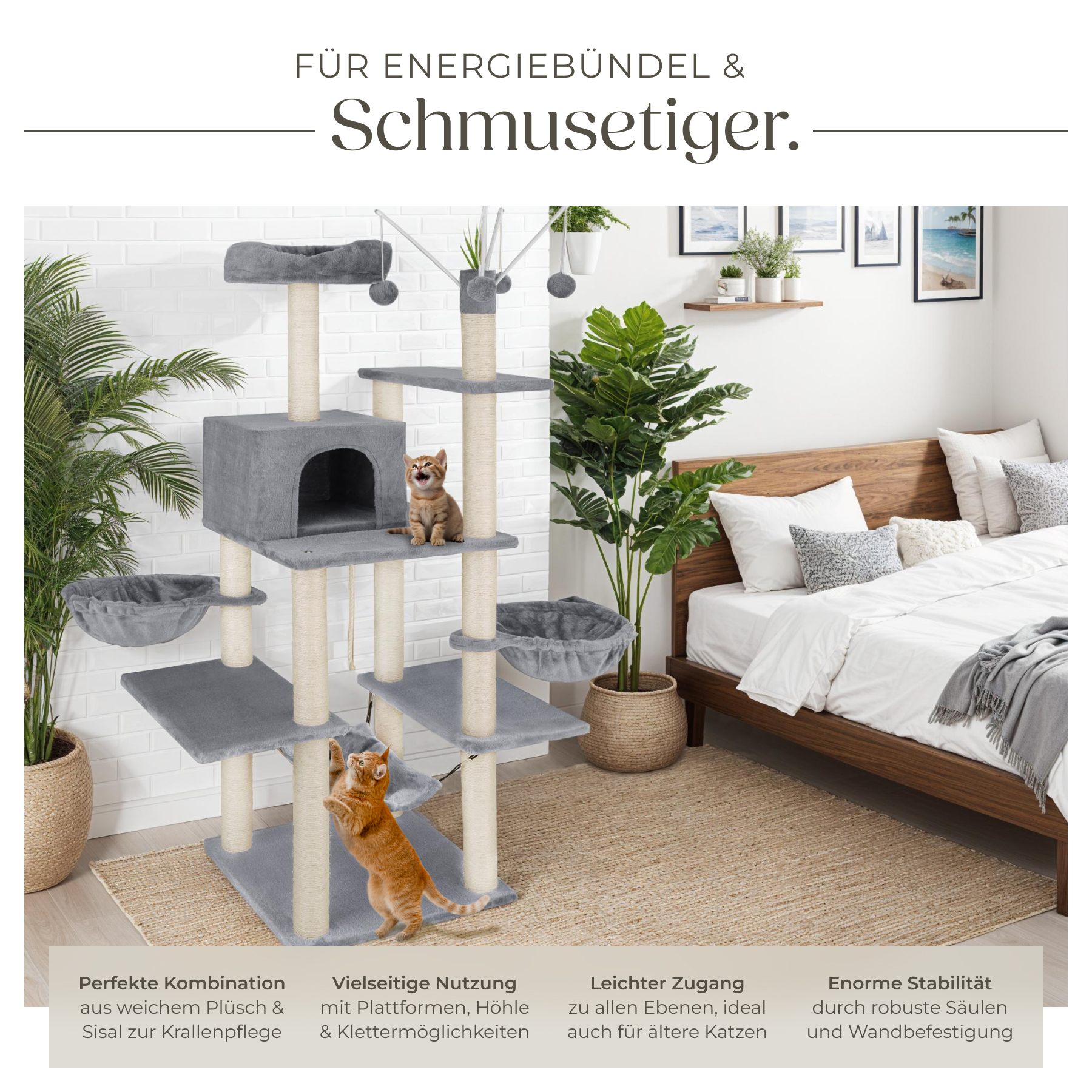 Bild 4 von 64
