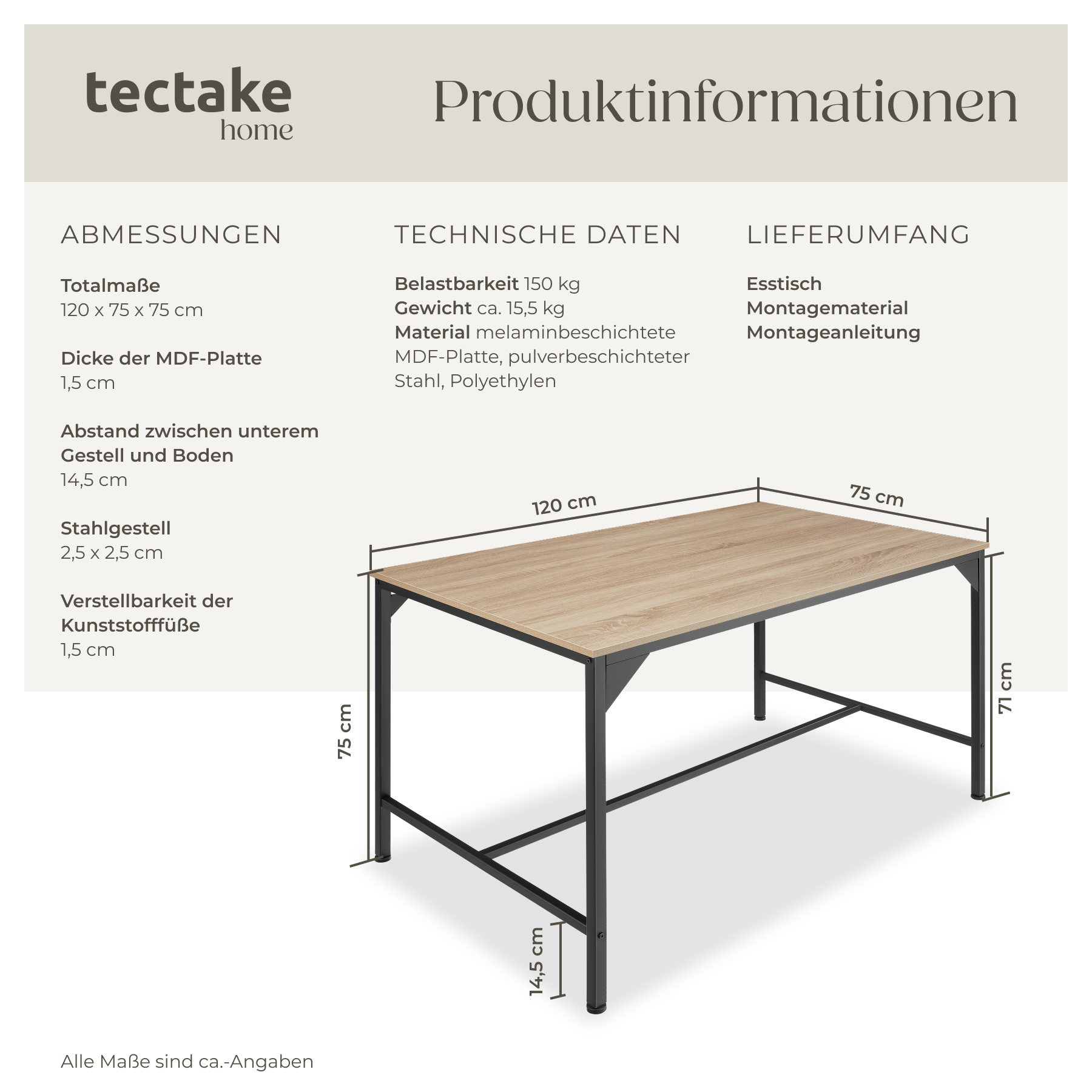 Esstisch Küchentisch Esszimmertisch Tisch 120 x 75 cm Industrial Design schwarz